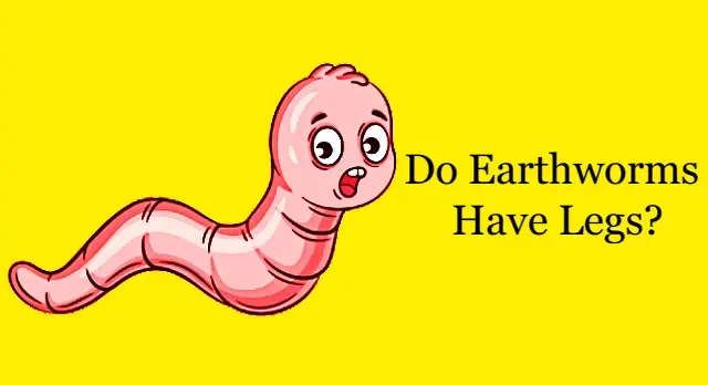 Do Earthworms Have Legs