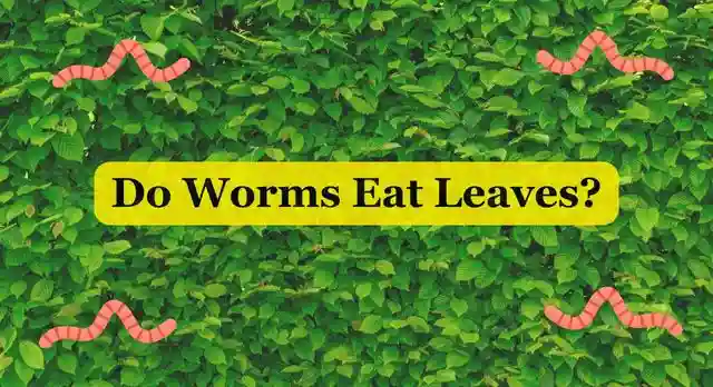 Do Worms Eat Leaves