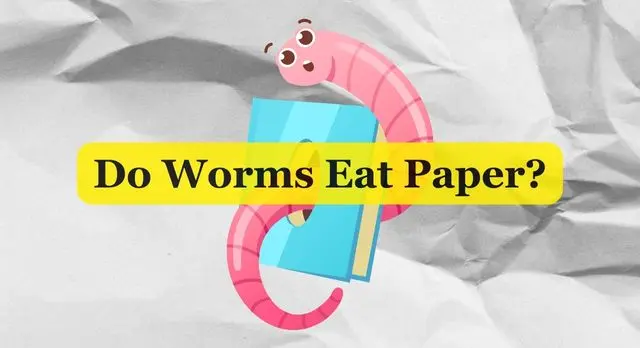 do worms eat paper