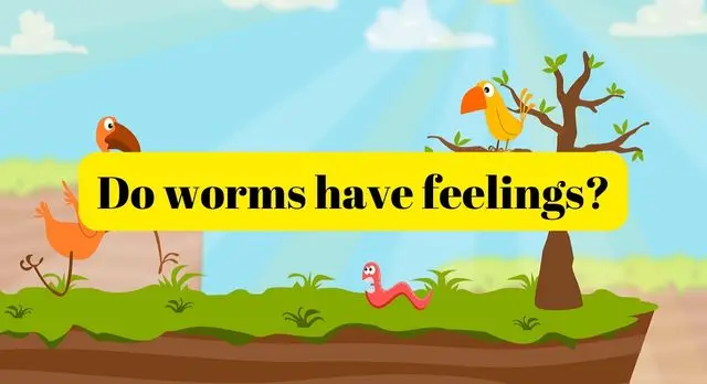 Do worms have feelings