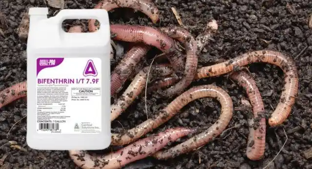 Does Bifenthrin Kill Earthworms