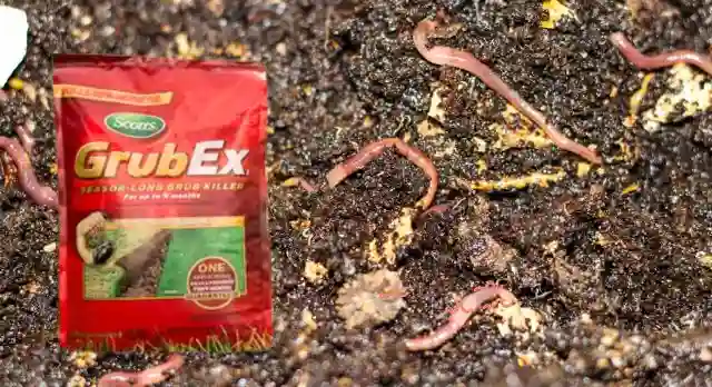 Does GrubEx Kill Earthworms
