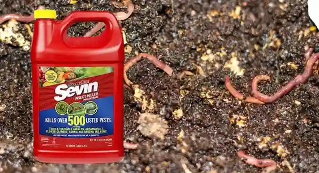 Does Sevin Dust Kill Earthworms