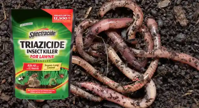 Does Triazicide Kill Earthworms
