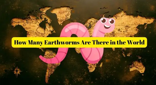 How Many Earthworms Are There in the World