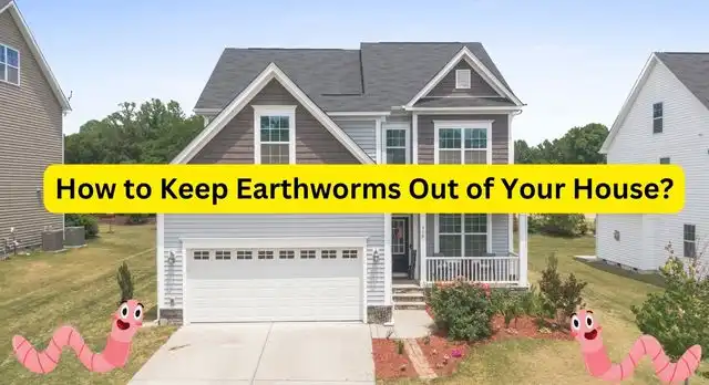 How to Keep Earthworms Out of Your House