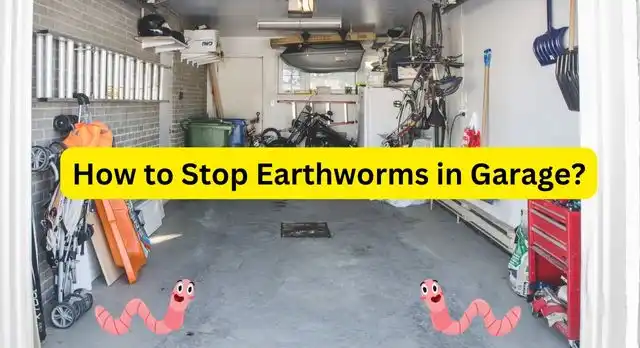 How to Stop Earthworms in Garage