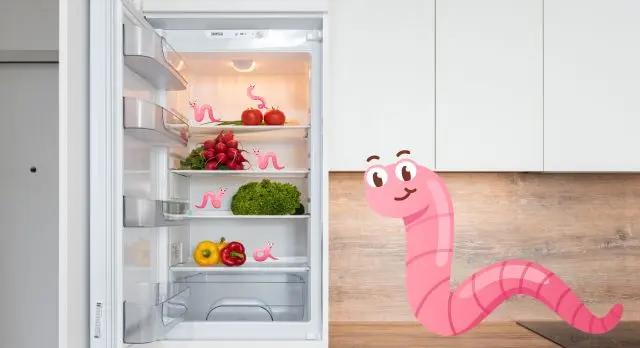 how long do earthworms live in the fridge