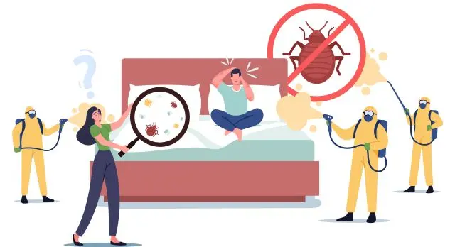 how to clean your mattress from bed bugs