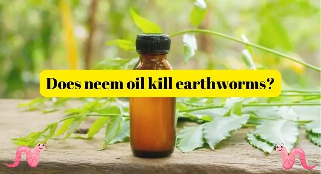 Does neem oil kill earthworms
