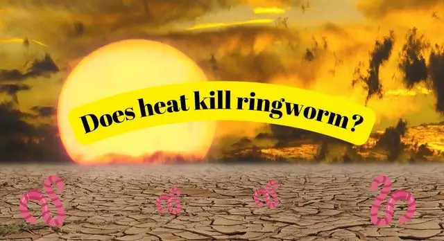 does heat kill ringworm