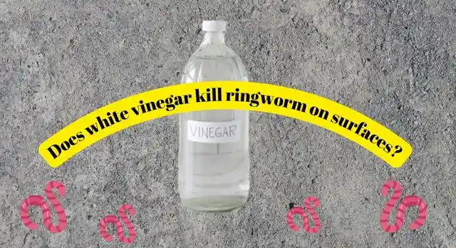 does white vinegar kill ringworm on surfaces